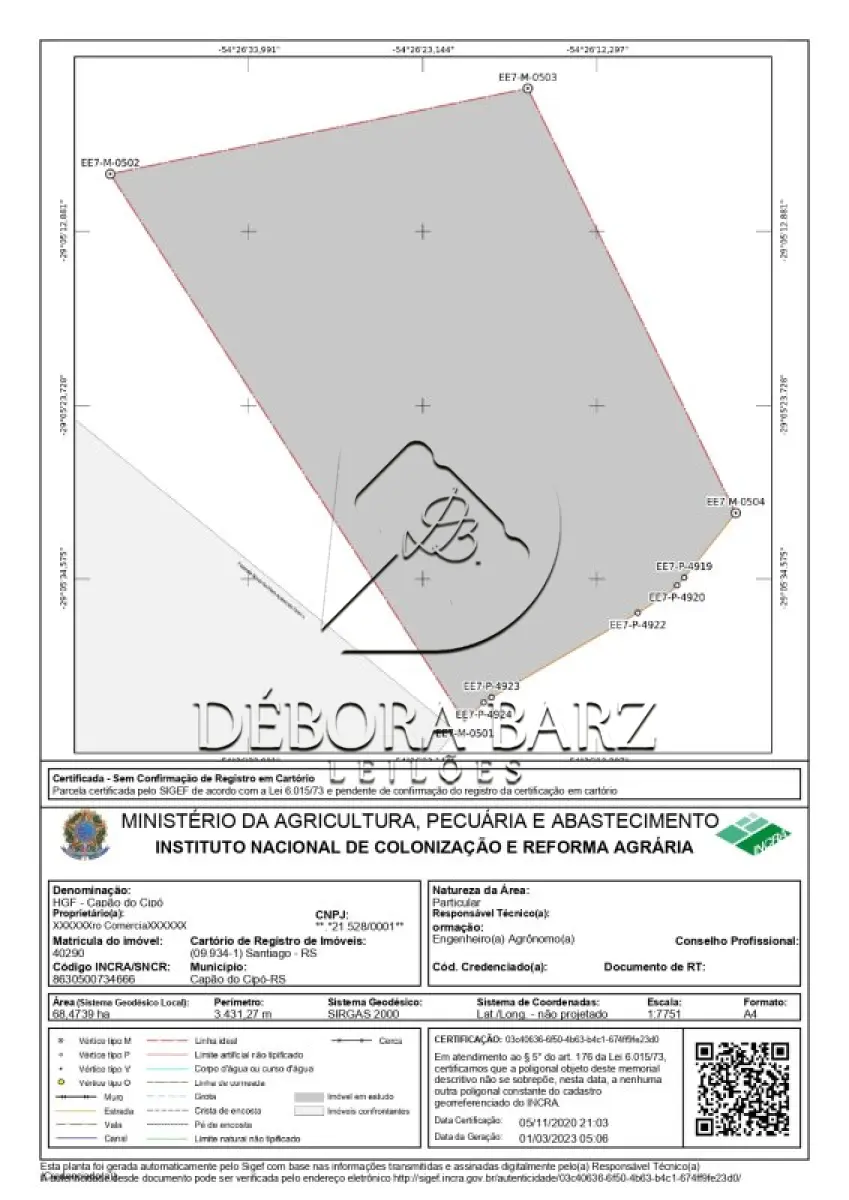 miniatura-2