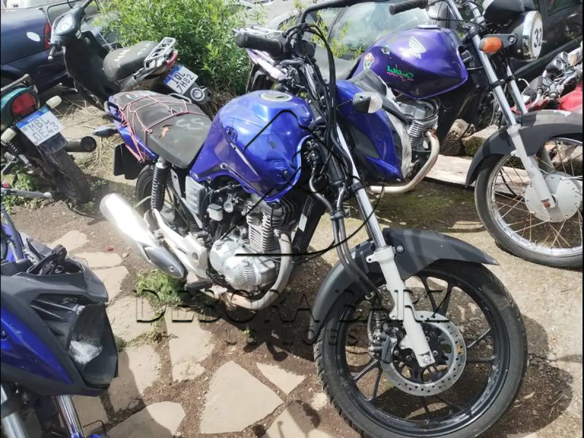 LOTE 0033