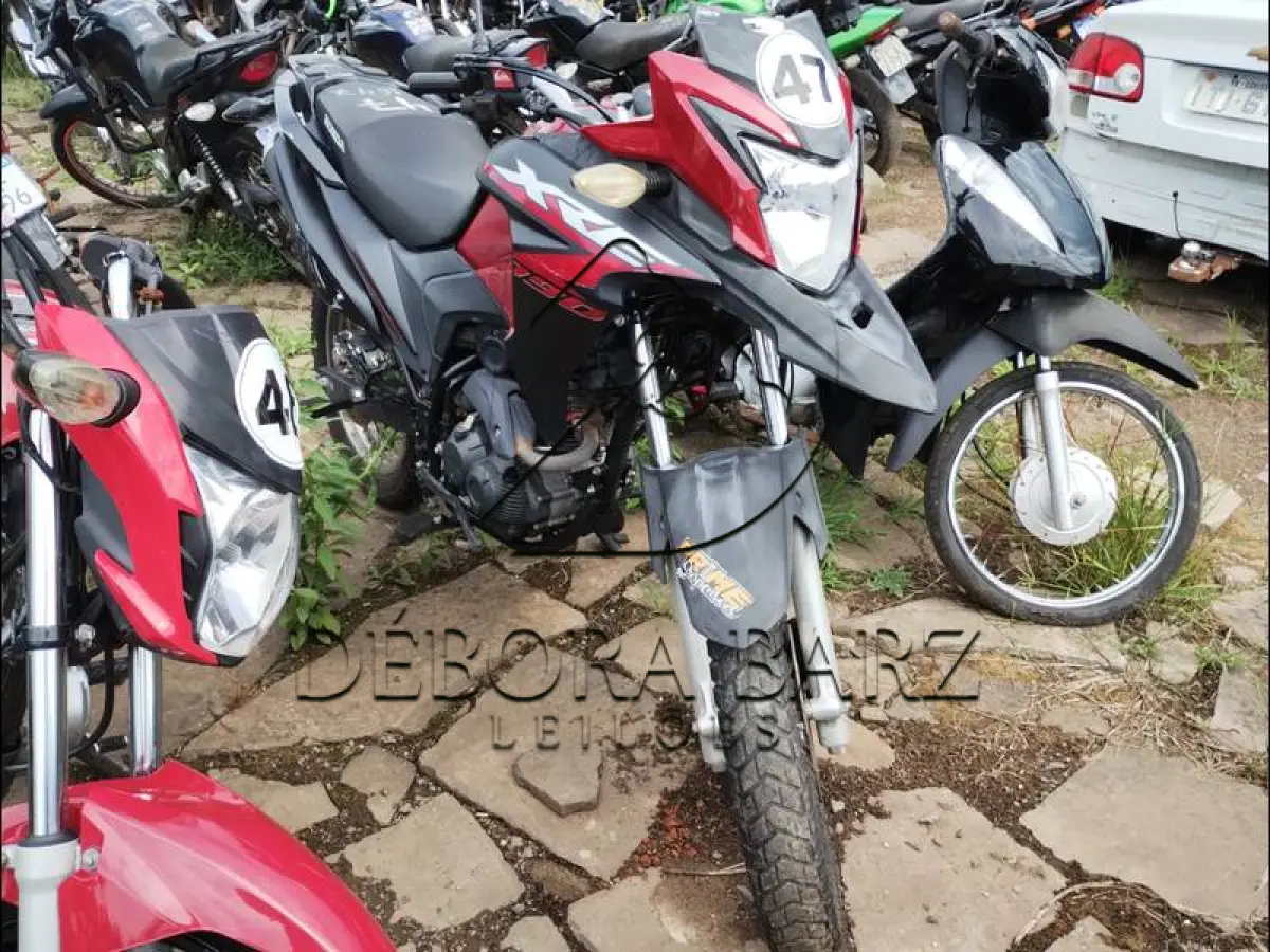 LOTE 0047