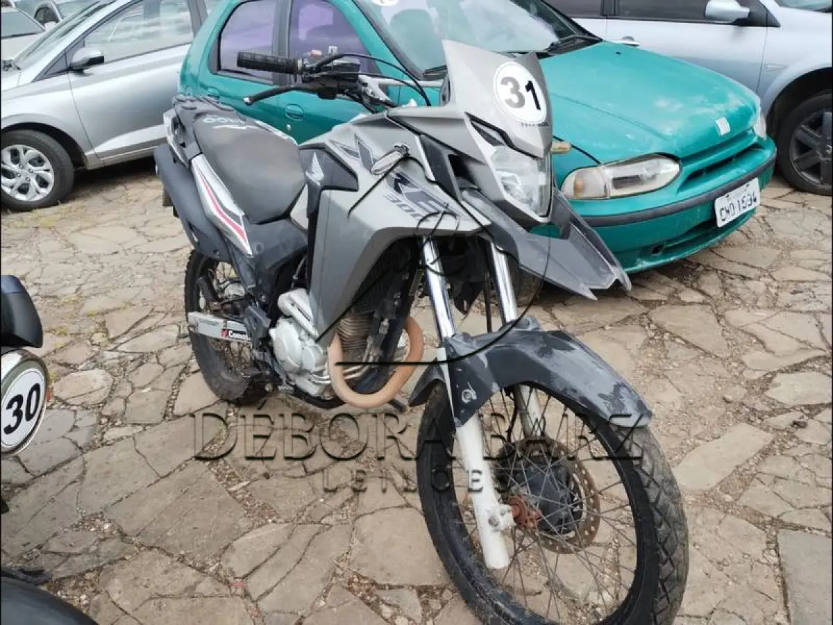 LOTE 0031